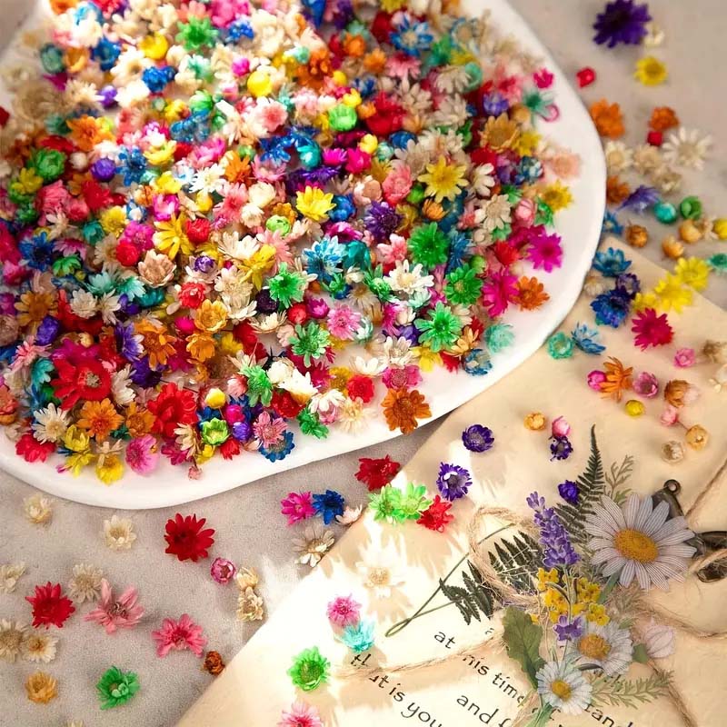 Mixed Colorful Flower for Wax  - Candle Supplies Bulk บทวิจารณ์และราคา